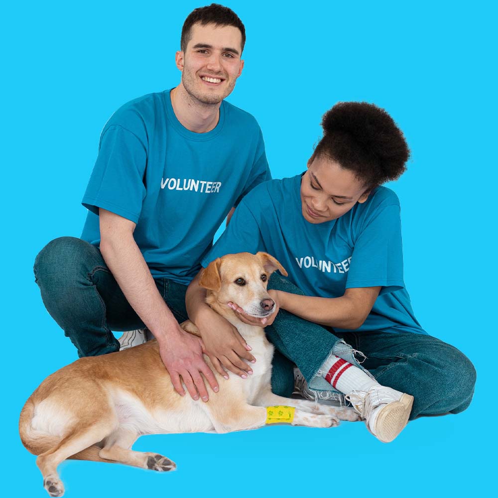 vet-care-01